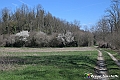 VBS_8869- Risvegli